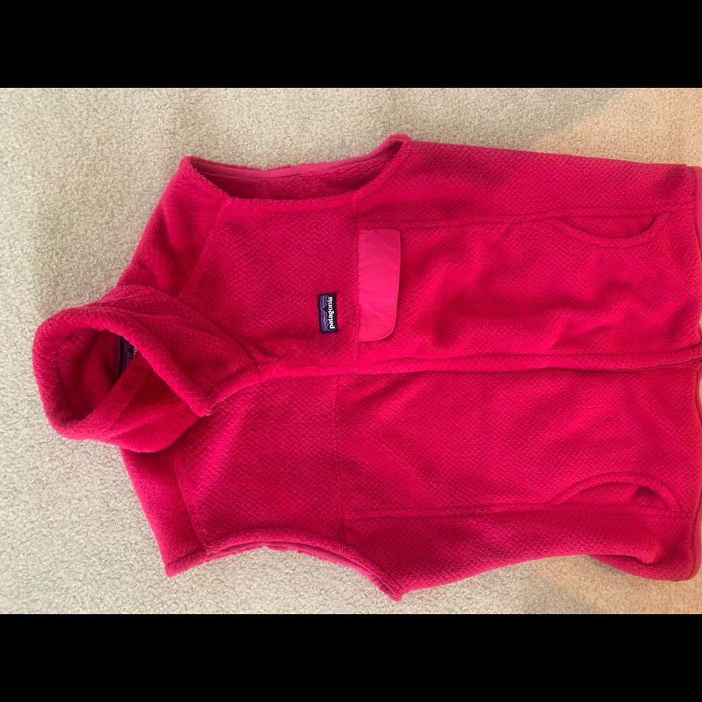 Patagonia fleece vest
